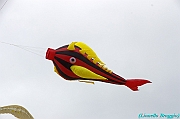 RIMINI 2012 - 018